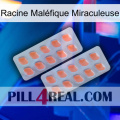 Racine Maléfique Miraculeuse 27
